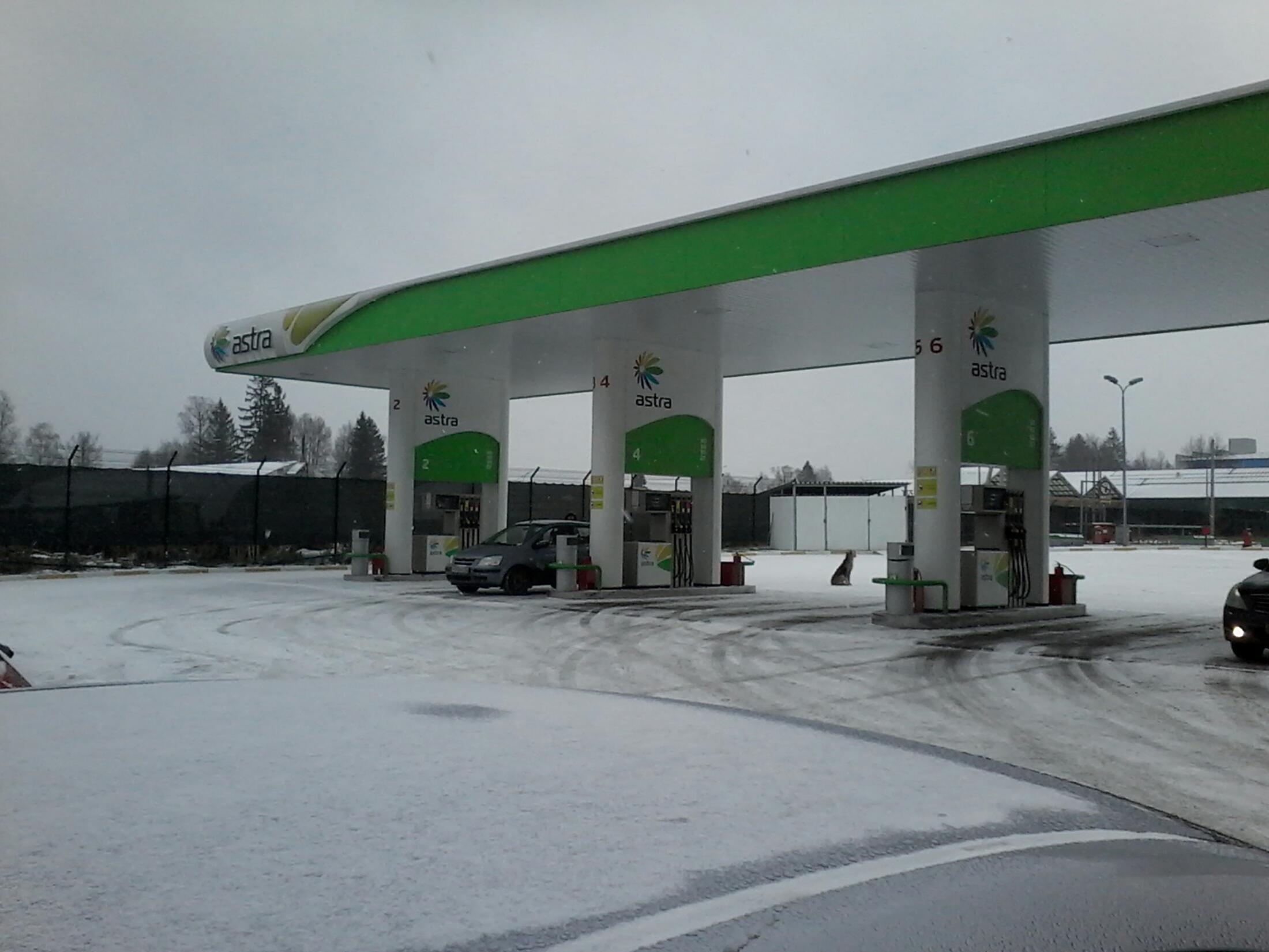 АЗС №317